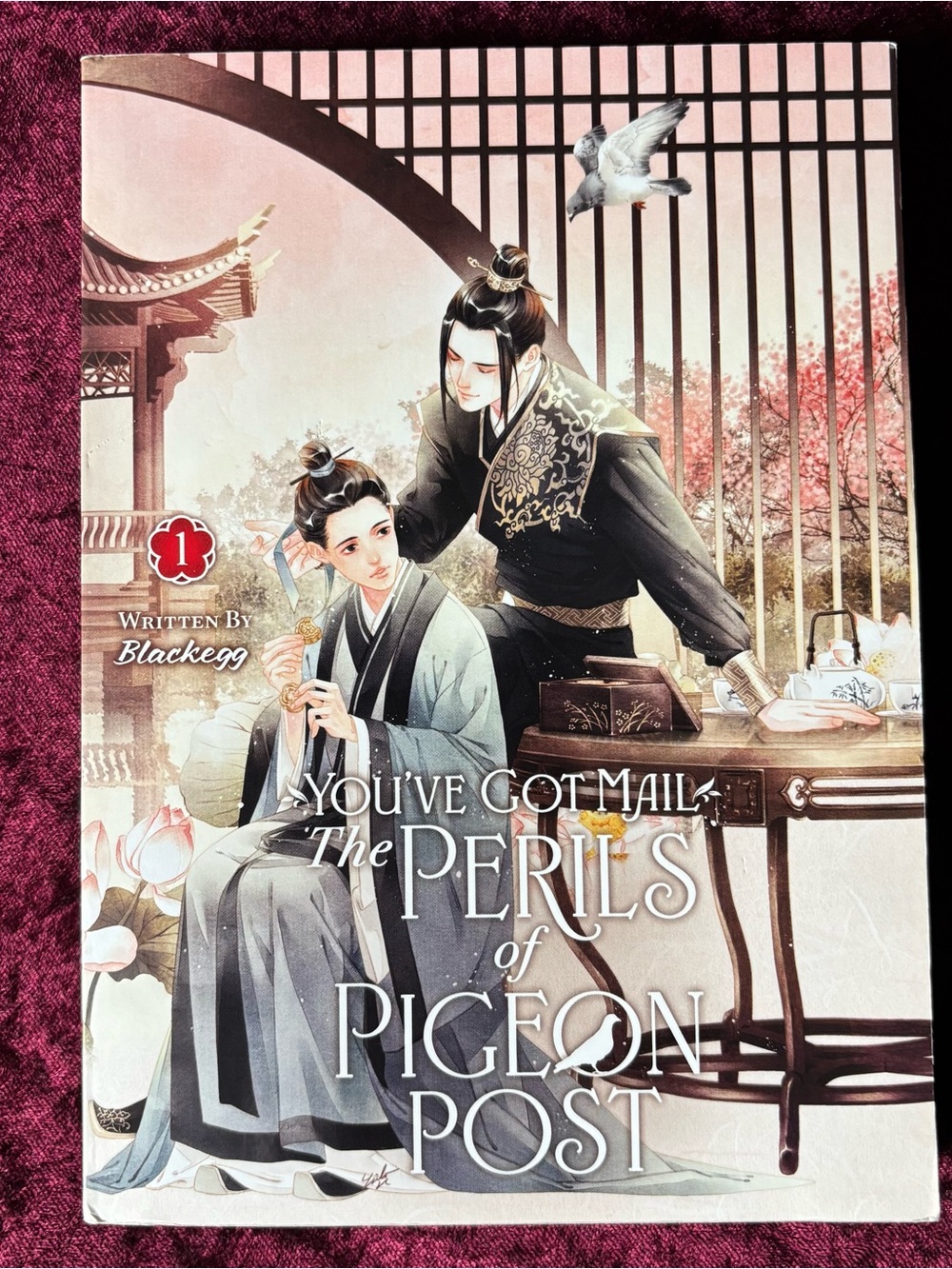 You've Got Mail: The Perils of Pigeon Post Danmei Novel